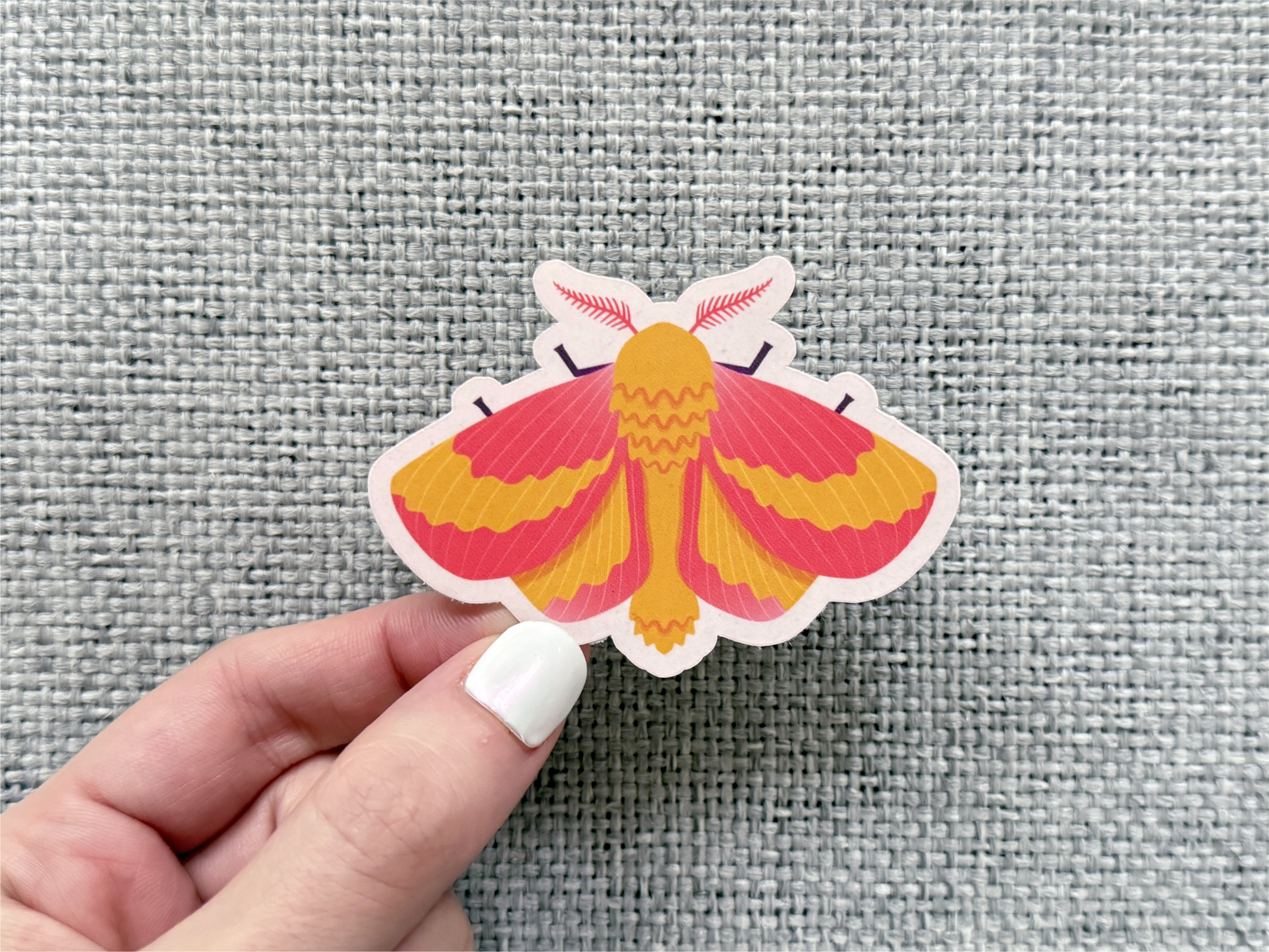 Moth sticker held in hand