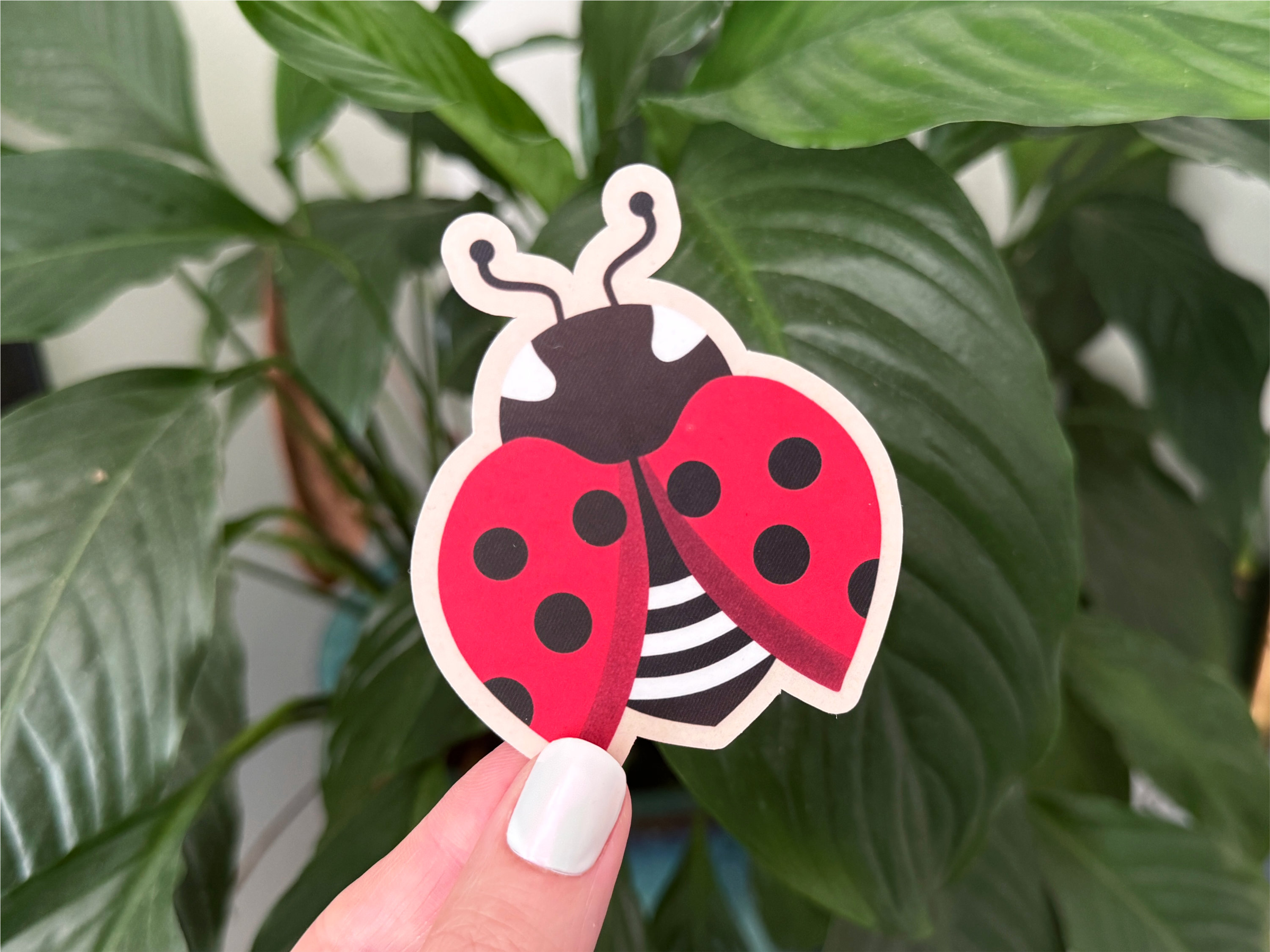 Ladybug and plant sticker illustration